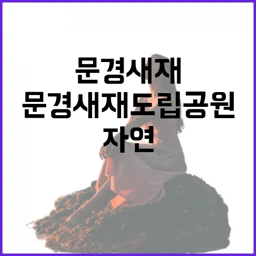 문경새재도립공원, 역사와 자연이 어우러진 걷기 명소
