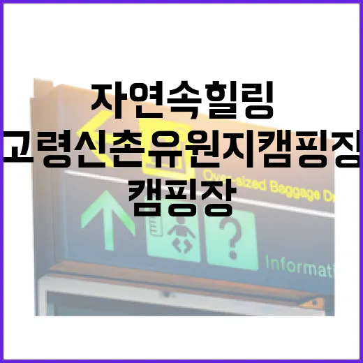 고령신촌유원지캠핑장 자연 속 힐링 명소