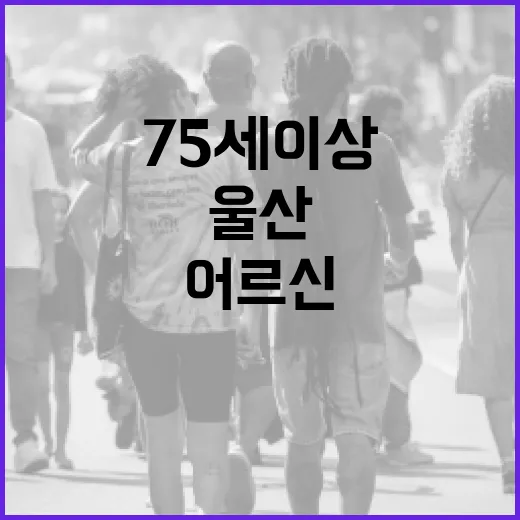 울산 75세 이상 어르신 시내버스 무료화 시작