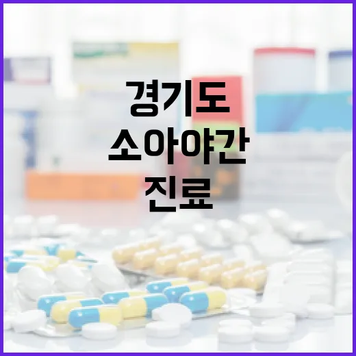 경기도 소아 야간진료 45개소 확대