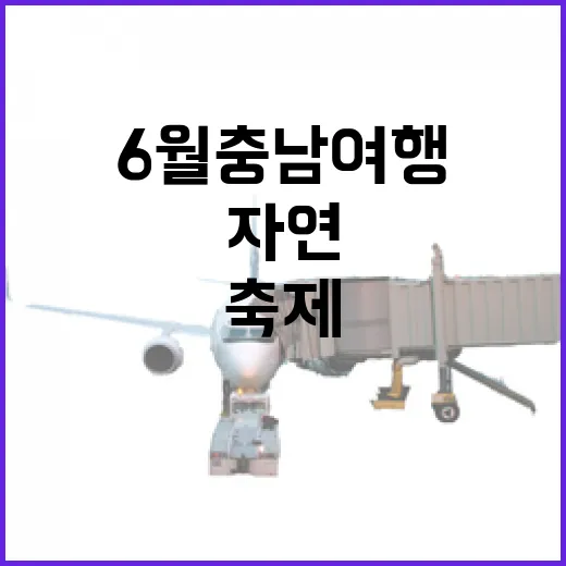6월 충남 여행, 자연과 축제의 만남