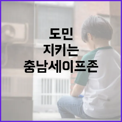 충남 세이프존, 도민 안전 지키는 첨단 대피망