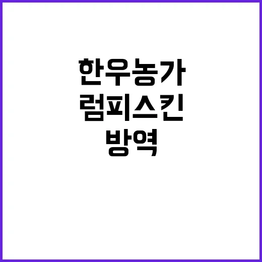 럼피스킨 방역 강화…