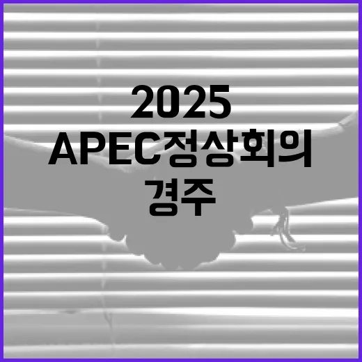 2025 APEC 정상회의 앞둔 경주 변화
