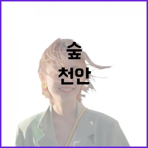 천안 태조산 초록 숲에서 맞는 초여름