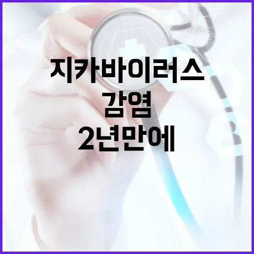 2년만에 재발한 지카바이러스 감염 주의