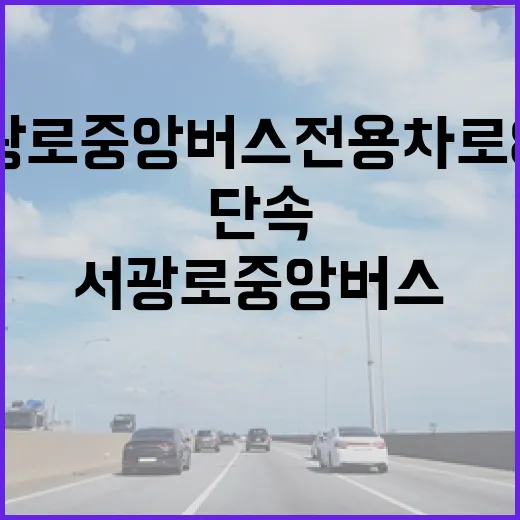 서광로 중앙버스전용차로 8월부터 단속 강화