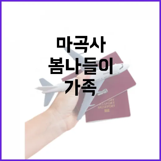 가족과 함께하는 마곡사 봄나들이