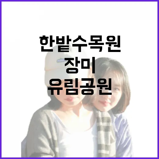 대전 장미 명소 한밭수목원과 유림공원