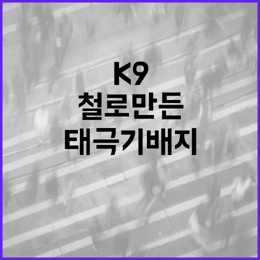 K9 철로 만든 태극기 배지, 6·25 전사자 기억 캠페인