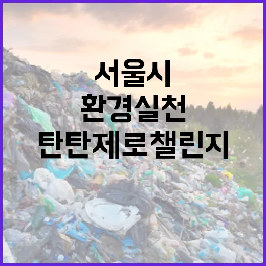 서울시 탄탄제로 챌린지, 환경 실천과 경품의 기회