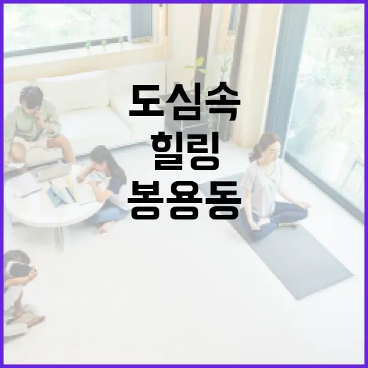 도심 속 초록 힐링, 봉용동 도시농업농장