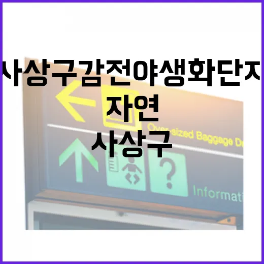 사상구 감전야생화단지, 사계절 자연의 품에서