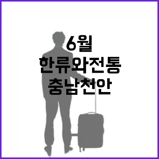 6월 충남 천안·서천, 한류와 전통의 만남