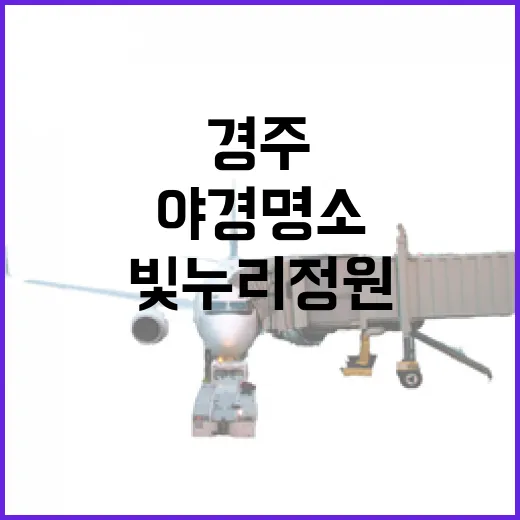 경주 빛누리정원, 자연 품에 안긴 야경 명소