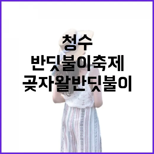 청수곶자왈 반딧불이 축제, 자연의 빛을 만나다