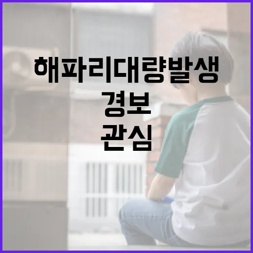 부산·경남 해파리 대량발생 '관심' 경보 발령