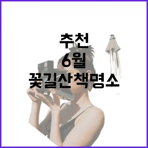 6월 충북 꽃길 산책 명소 추천