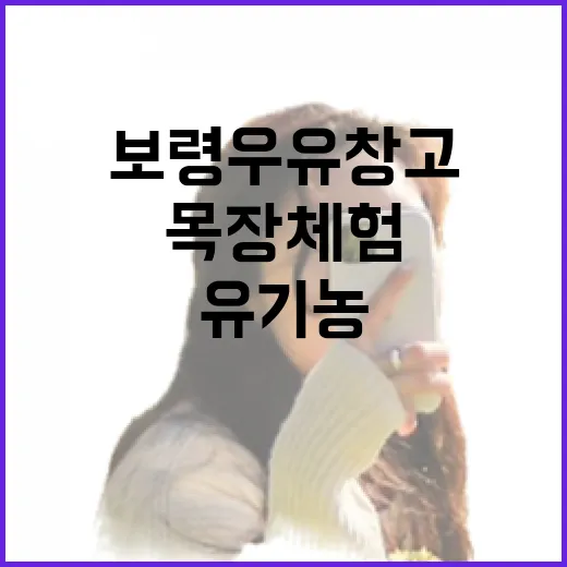 보령 우유창고에서 만나는 유기농 목장 체험
