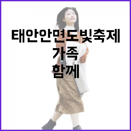태안 안면도 빛축제, 가족과 함께하는 여름밤 별빛 여행