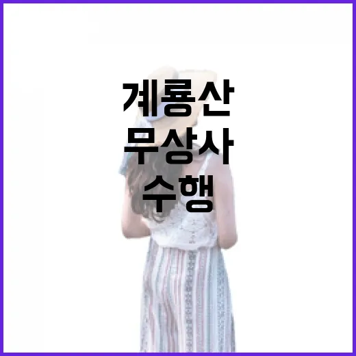 계룡산 품은 무상사, 고요한 수행의 터