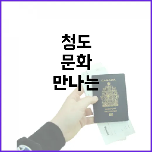 청도박물관에서 만나는 뿌리와 문화