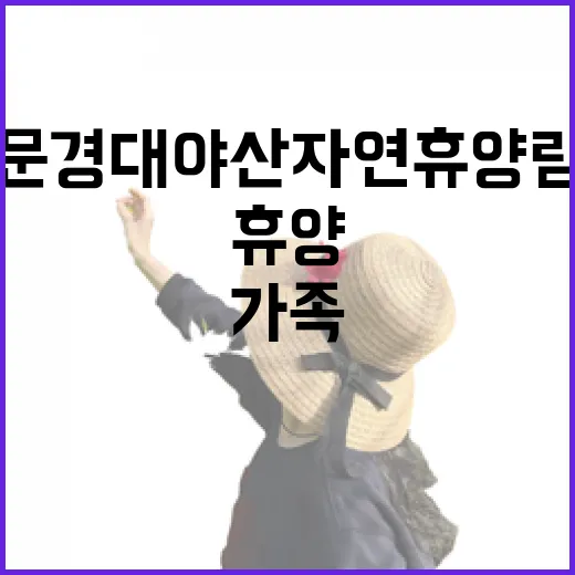 문경 대야산자연휴양림 가족 휴양 명소