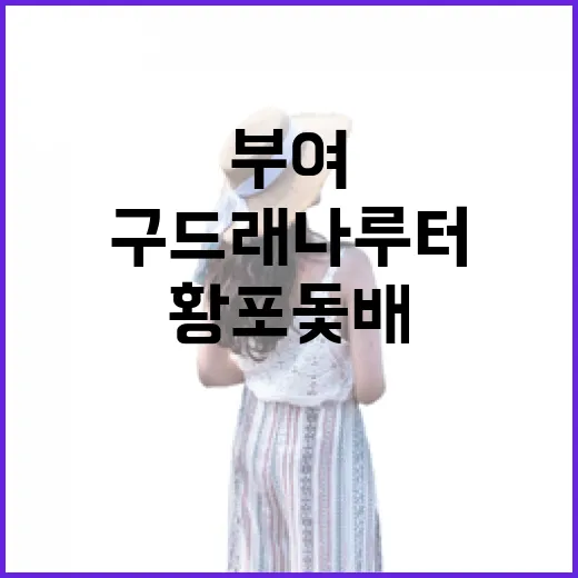 부여 구드래 나루터 황포돛배 체험기