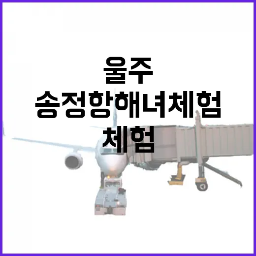 울주 송정항 해녀 체험의 진수