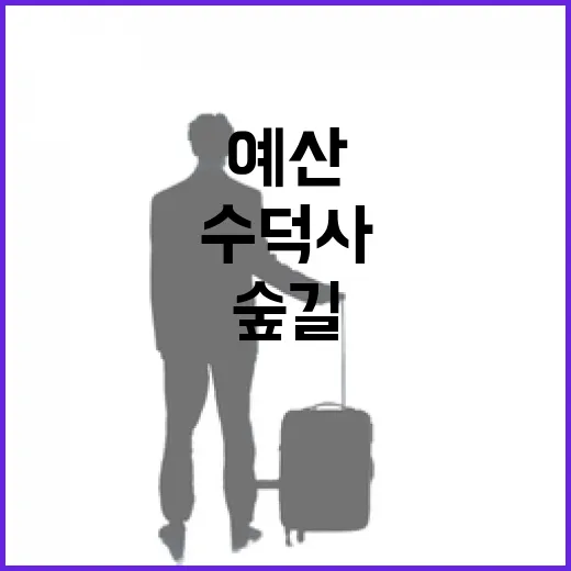 예산 수덕사 숲길 산책기