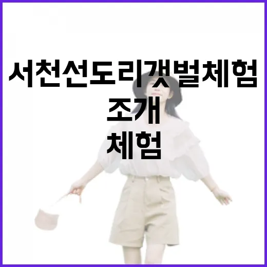 서천 선도리 갯벌체험, 조개 캐며 웃음꽃 핀 하루