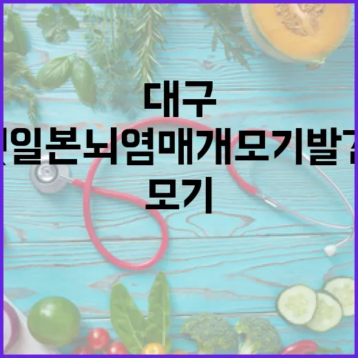 대구 첫 일본뇌염 매개모기 발견, 철저한 예방 필요