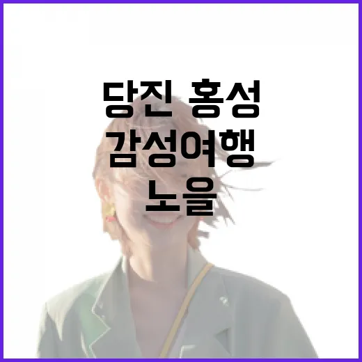 당진·홍성 노을 감성 여행 가이드