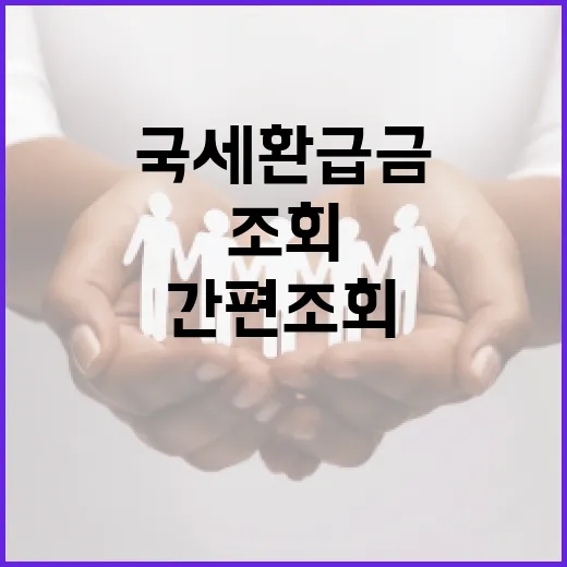 국세 환급금, 민간 앱서도 간편 조회