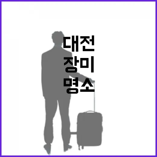 대전 장미 명소에서 만나는 고혹적 풍경