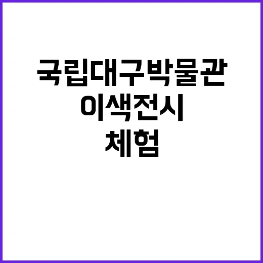 국립대구박물관, 이색 전시와 체험의 장