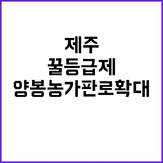 제주 꿀 등급제 도입, 양봉농가 판로 확대 기대