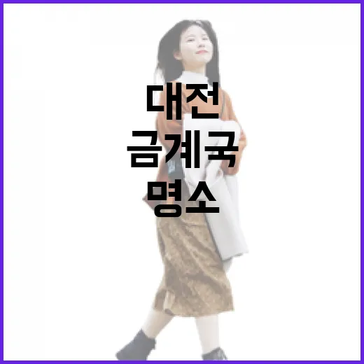 대전 도안억새숲 금계국 산책 명소