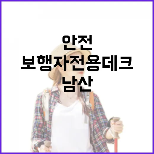 남산 순환로 보행자 전용데크 개방, 자연과 안전 산책길 완성