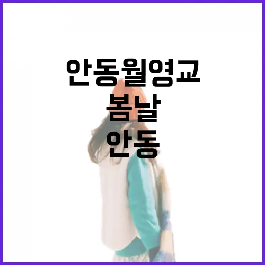 안동 월영교, 봄날의 아름다움 산책