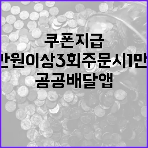 공공배달앱 2만 원 이상 3회 주문 시 1만 원 쿠폰 지급
