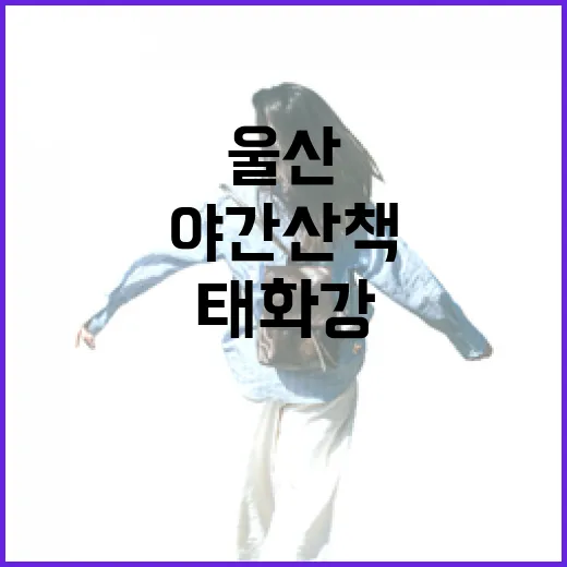울산 태화강 은하수길 야간 산책 명소