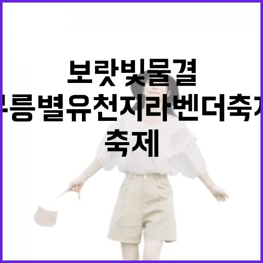 보랏빛 물결, 무릉별유천지 라벤더 축제