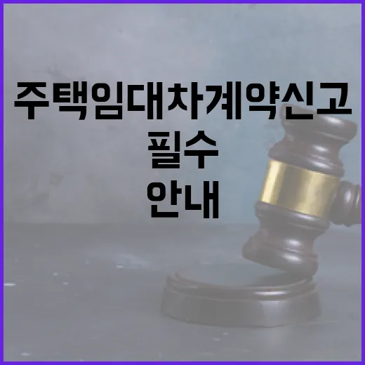 전남 주택 임대차 계약 신고 필수 안내