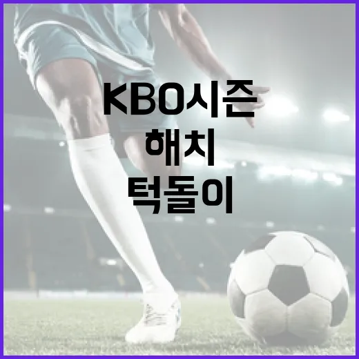 해치와 턱돌이, 고척돔서 KBO 시즌 응원 대활약