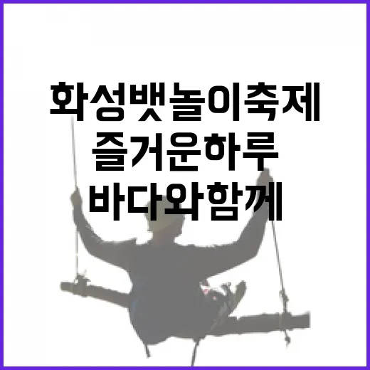 화성 뱃놀이 축제, 바다와 함께한 즐거운 하루