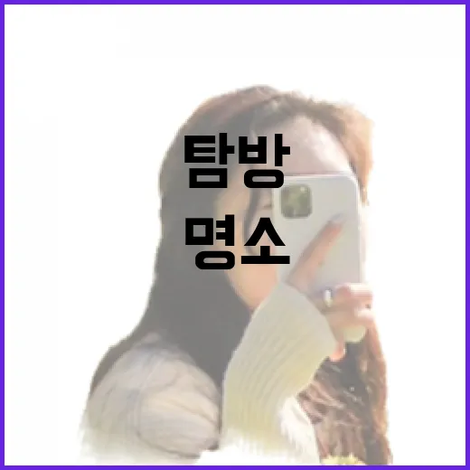논산 장미 명소 두 곳 집중 탐방