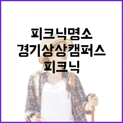 경기상상캠퍼스, 여름 피크닉 명소