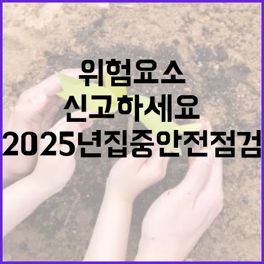 2025년 집중 안…