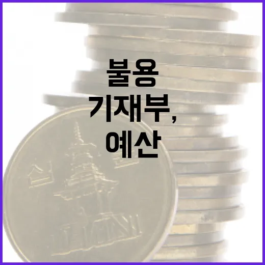 기재부, 지난해 예산 집행과 불용 실태 밝혀